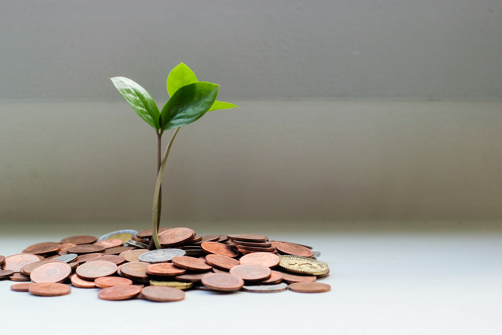 Property investment growth